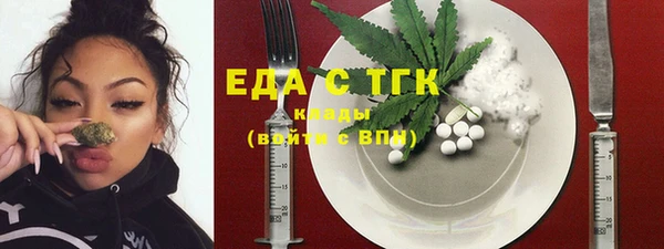 индика Арсеньев