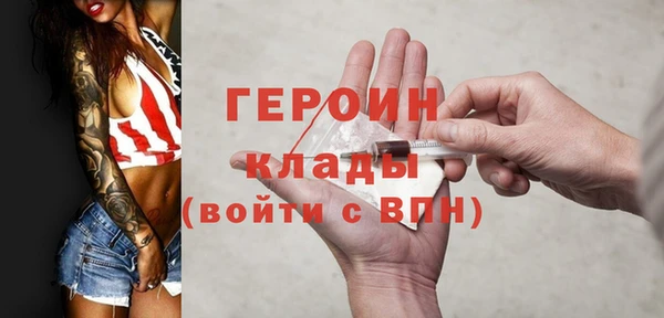 индика Арсеньев