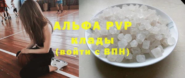 индика Арсеньев