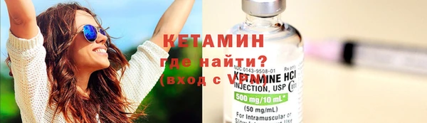 стаф Аркадак