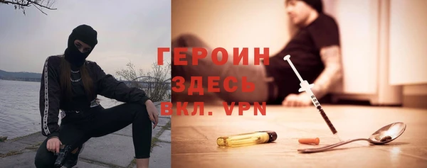 стаф Аркадак