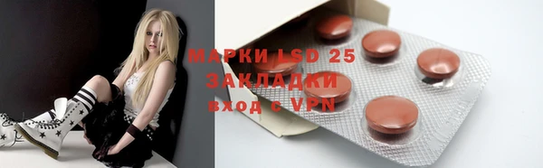 индика Арсеньев