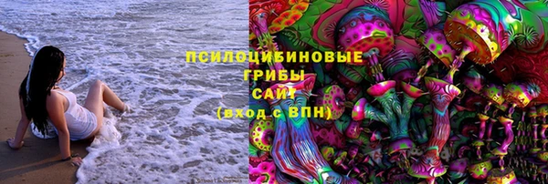 стаф Аркадак