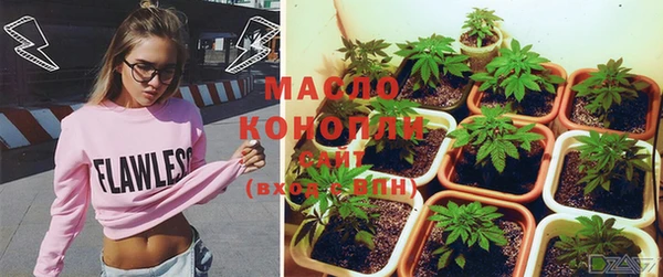 индика Арсеньев