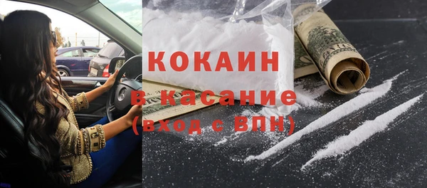 стаф Аркадак