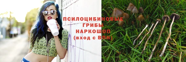 твердый Армянск
