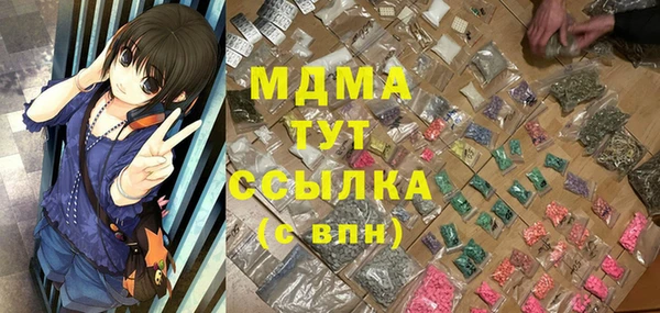 стаф Аркадак
